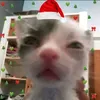 jmuzu