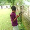 md.hasan123533