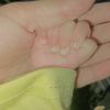 amalfatima3851