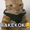 nayo_suka_nasgor