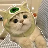 hoangvanae