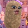 monteastroberrypink