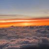 flightatendantn123
