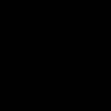 mirr_173