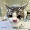 abela.elifia