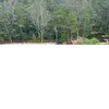 Lục Bảo