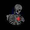 ahmadmustafa.tafa