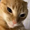 jerculesjhon