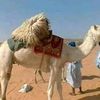 user6570058632901