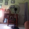 marcialmalanyaonj