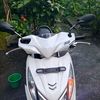 bilexta....fii