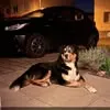 andreas.schimbeno