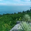 tiktoker.ng.davao6