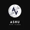 ashuminivlogs1
