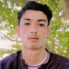 amir.borna4