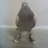..7m_z