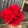 ankit.gurung925