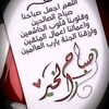 seidmohammed2402