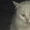 мана брейк
