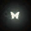 your_rabu39