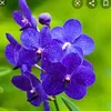 loan.nguyn3573