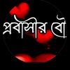 mdsujonkhan8873