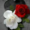 shhs.bdnd