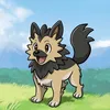 doghmani.art
