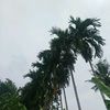 bang...wahyu