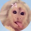 seli_186