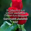 iluu.koo52