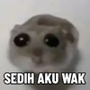 kanairachan1