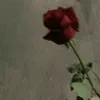 gg__m678