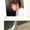 shahwez.ali960