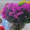 elizabetha189