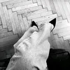 aishao.mar