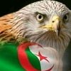 mouhamed.momoha