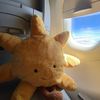 jetsetjellycat