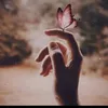 user6317219221061