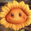 sunflower_08280