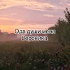 dol_baeb1488