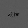 ☝️الله❤️