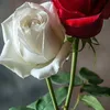 hafida.hafida2565