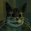 StrangeCat_Vr