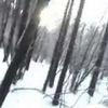 twinklet0es75