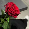 user42119486117260