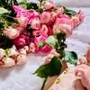 tasneem.az5