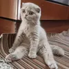 irina.irina7551