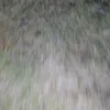 machdosilveira992