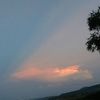 march_cela_tvrs
